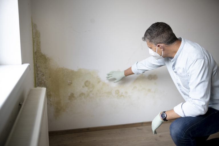 rising damp Spalding